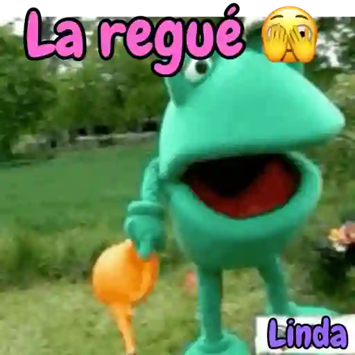 Axy Linda 11 23