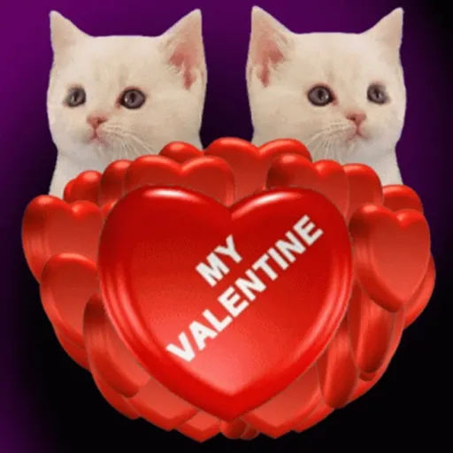❤️❤️ SAN VALENTIN ❤️❤️ 5