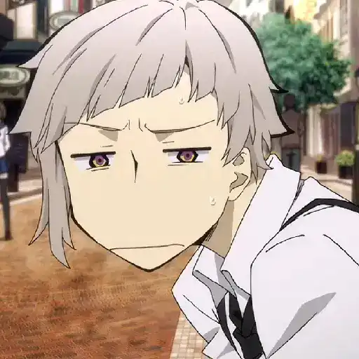 Bungou Stray Dogs 29