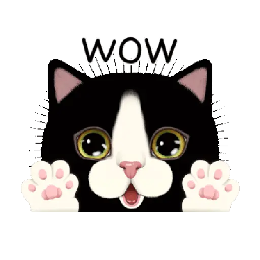 Gatitos 17