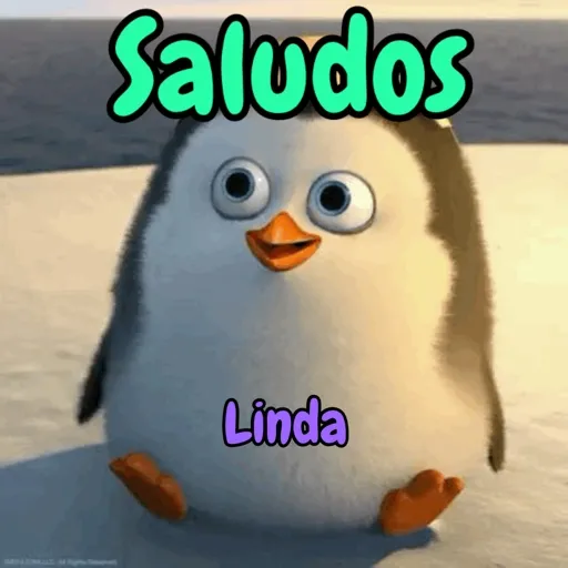 Axy Linda 11 18