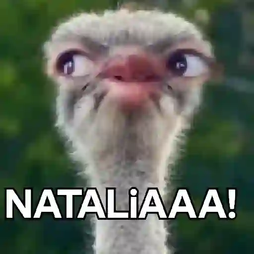 🗣️📣NATALIAAAAA...!! 🔎👣 13