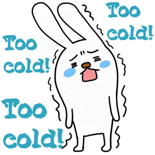 It's Cold Bear& Bunny🐻🐰❄️ 3