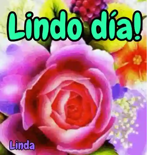 Axy Linda 11 22