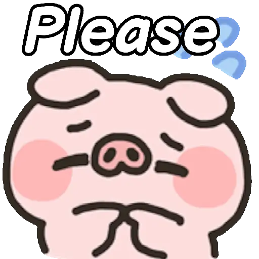 🐷 Cerdito en tu chat 🐽📲 7