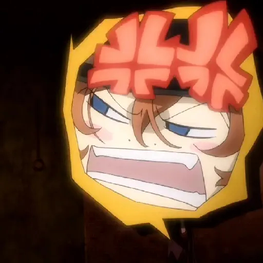 Bungou Stray Dogs 13