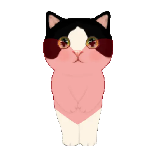 Gatitos 10