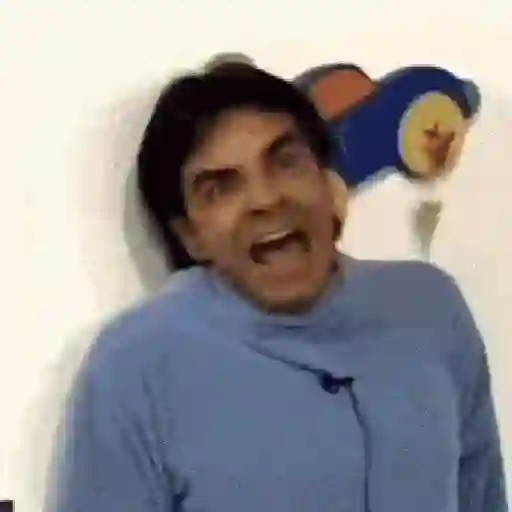 FAMILIA PLUCHE LUDOVICO 🤣🤥 28