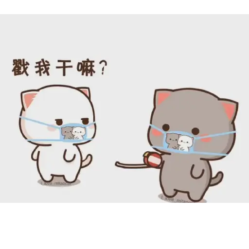 Peach & Goma😻❤️ 11