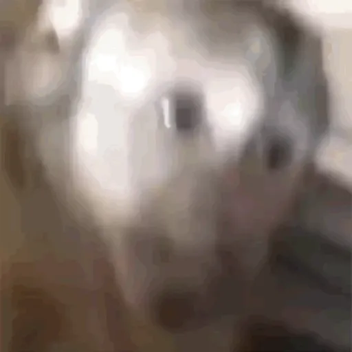 Mischangoz 10