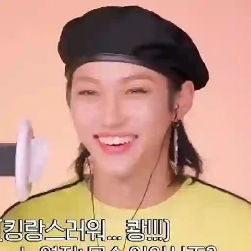 Lee Felix Stray Kids 13