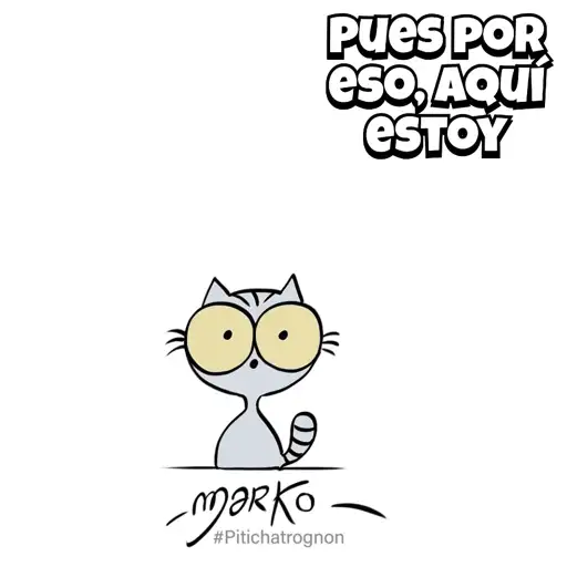Gato de Marko 01mov 5