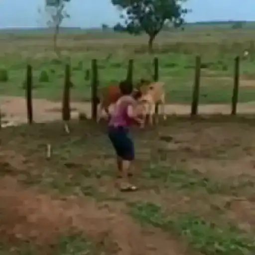 Erros cômicos 15