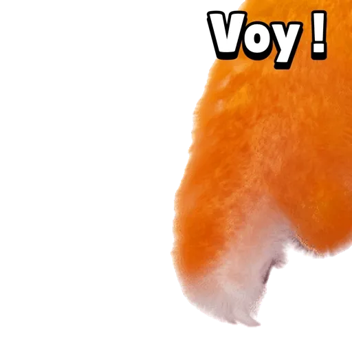 Tigrito 01mov 21