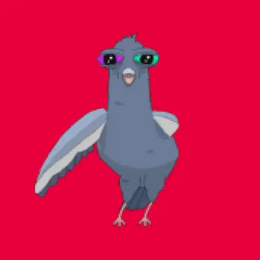 🕊Paloma migajera 🙃 17