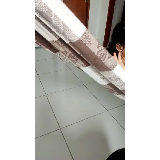 Animadas 8