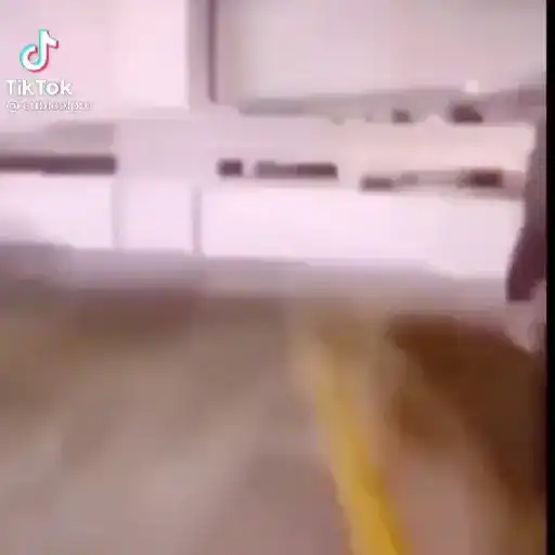 Macaco 25