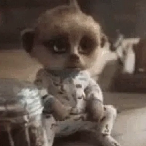 Gifs 3 22