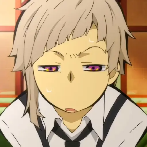 Bungou Stray Dogs 9