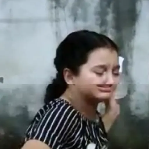 Animadas 5