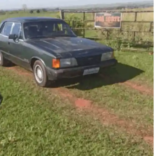 Cópia não comédia 8
