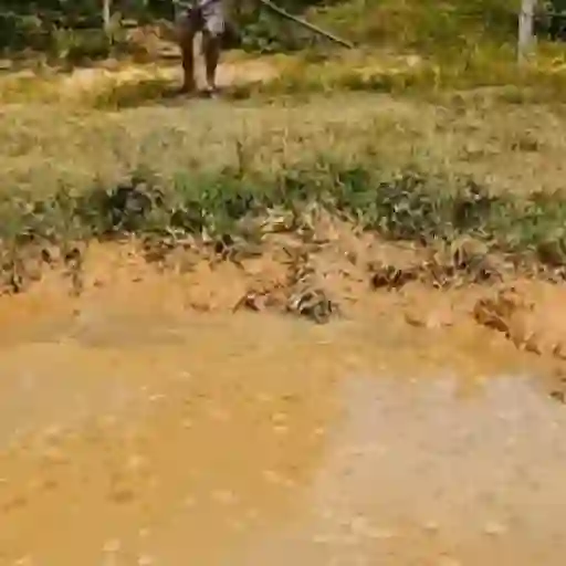 Erros cômicos 19