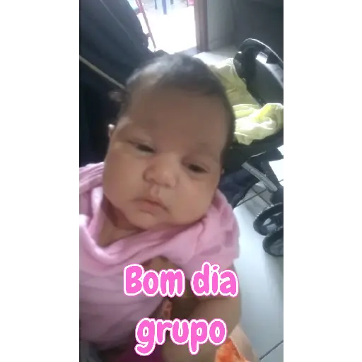 Animadas 4
