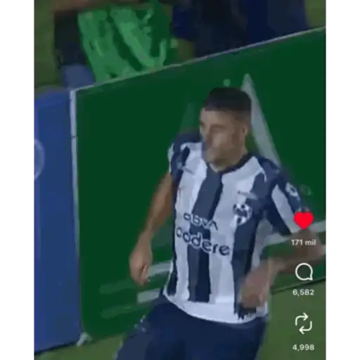 Stickers perrones 11