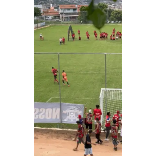 Futbol 11