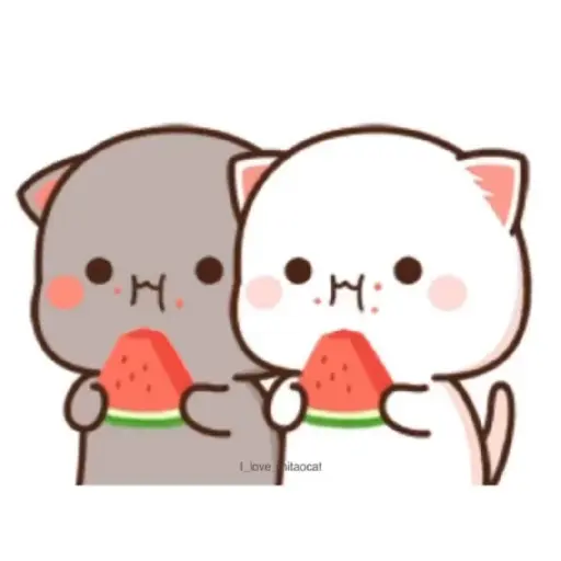Peach & Goma😻❤️ 10