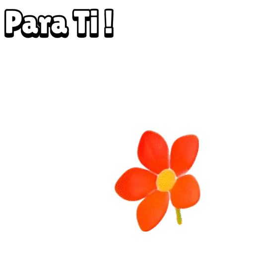 Tigrito 01mov 18