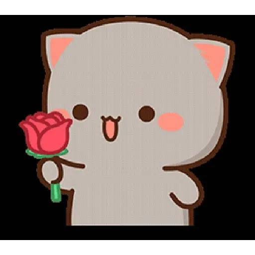 Peach Goma 2024 19