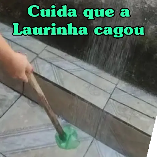 Animadas 7