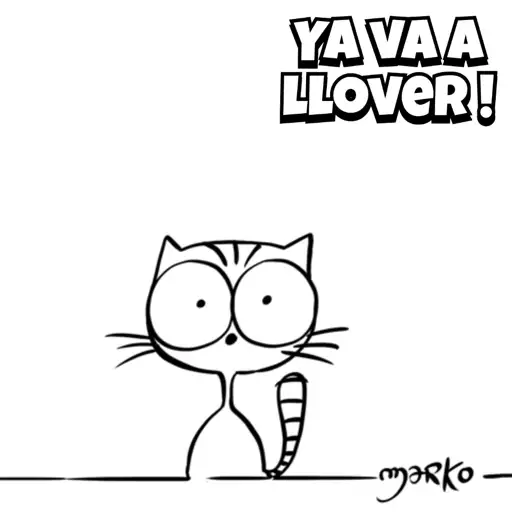 Gato de Marko 01mov 8
