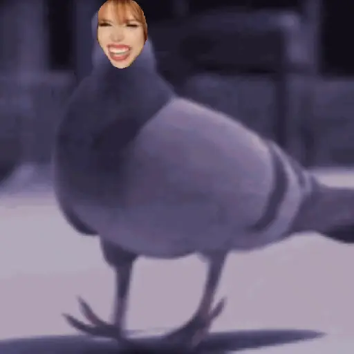 🕊Paloma migajera 🙃 22