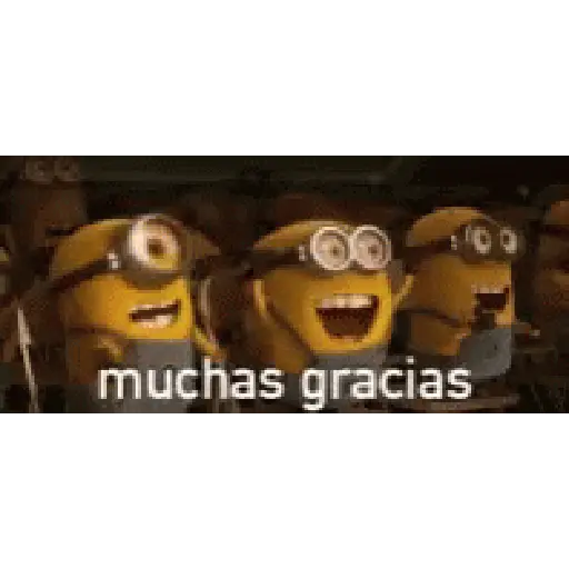 GRACIAS 6