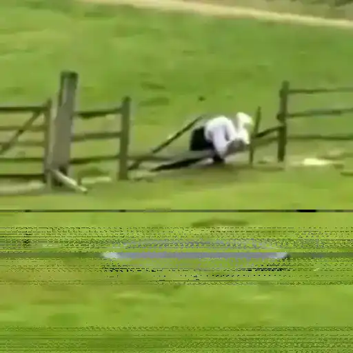 Erros cômicos 1