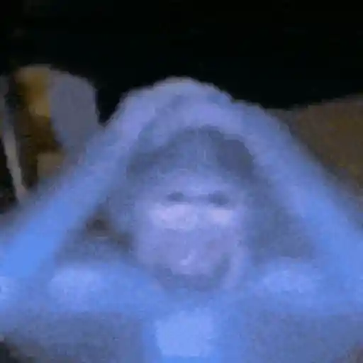 Mischangoz 4