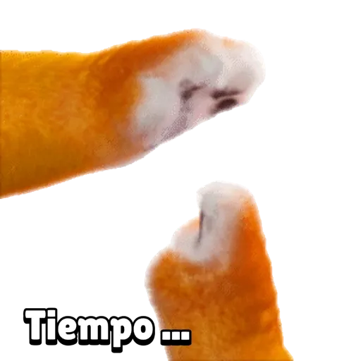 Tigrito 01mov 9