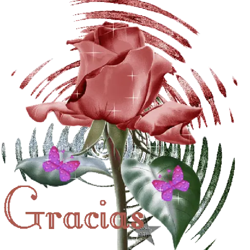 GRACIAS 29