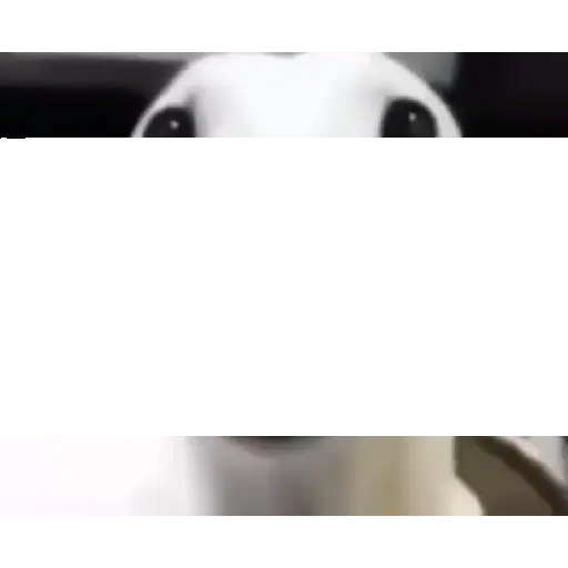 Random 2