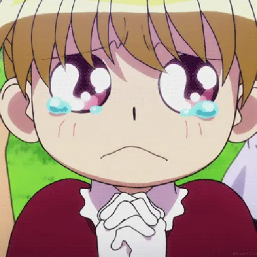 Hunter x hunter 24