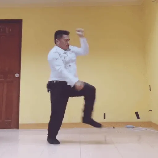 👮‍♂️•Guardia Tiktok•👮‍♂️ 13