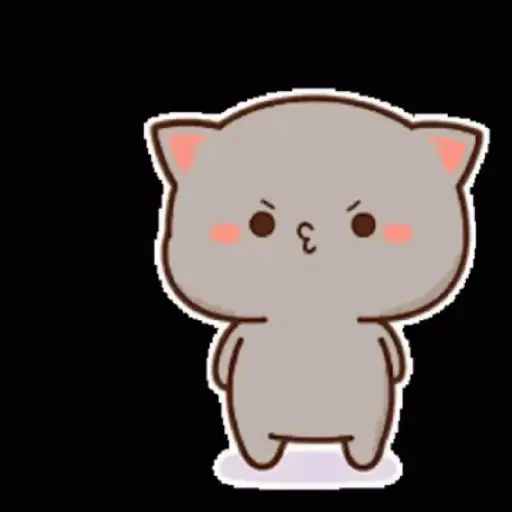 Mochi 19