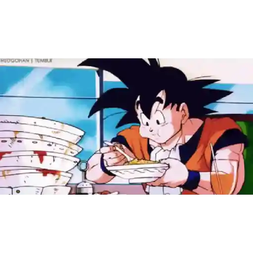 DragonBall 13