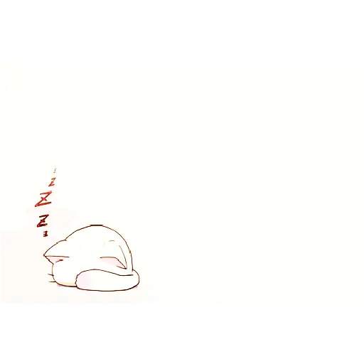 Cat 8