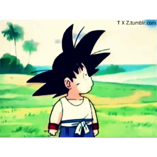 DragonBall 16