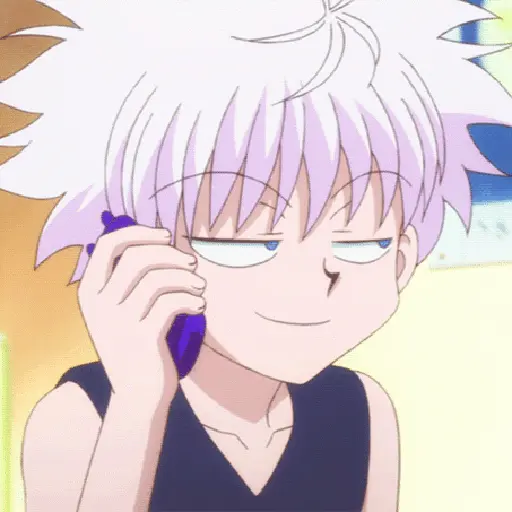 Hunter x hunter 11