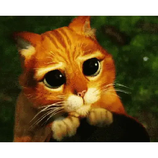 Cute 19