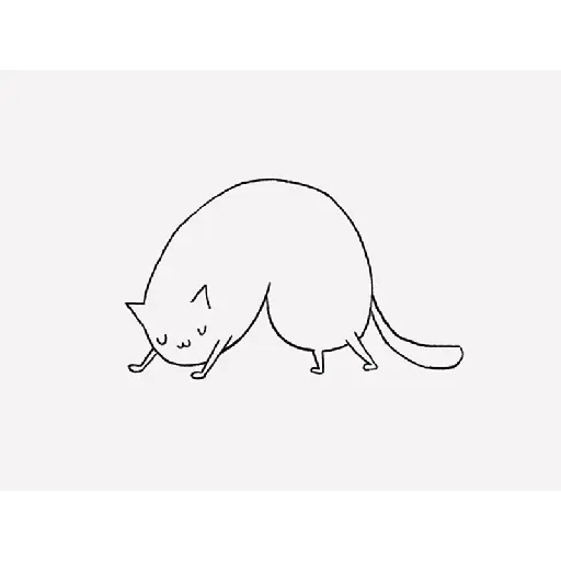 Cat 6